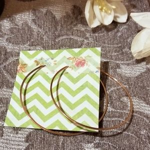 Gold hoop earrings 2/$15